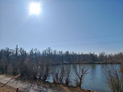 IMG_20250308_144725.jpg