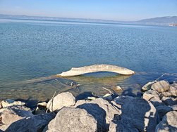 IMG_20250308_150542.jpg