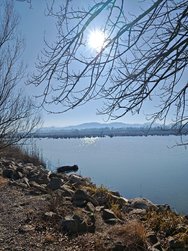 IMG_20250308_150949.jpg