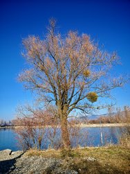 IMG_20250308_152336.jpg