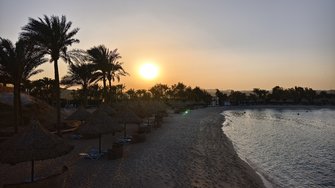 IMG_20250304_171357.jpg