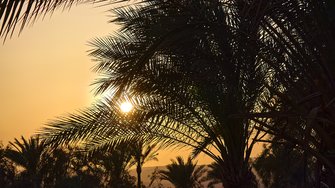 IMG_20250304_172016.jpg