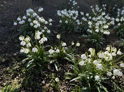 IMG_9167.jpeg