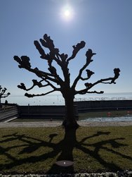 IMG_9165.jpeg