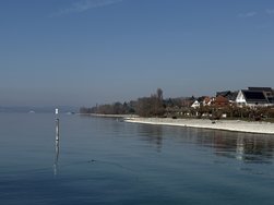IMG_9140.jpeg