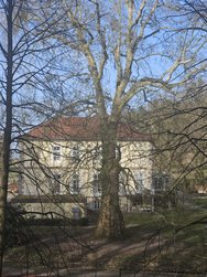 20250308_155219.jpg