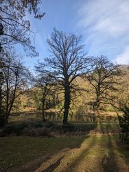 Gcam20250308_154445474.jpg