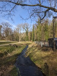 Gcam20250308_153455255.jpg