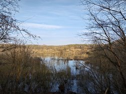 IMG_20250308_165534.jpg