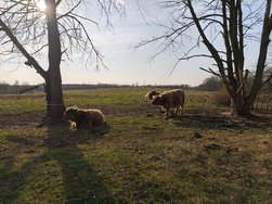 IMG_20250308_155414.jpg