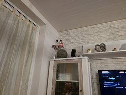 20250308_204923.jpg