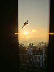 IMG_20250205_091347.jpg