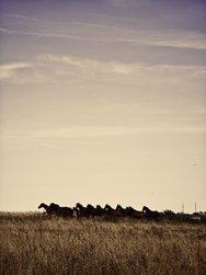 IMG_20241007_232320.jpg
