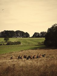 IMG_20241007_232108.jpg