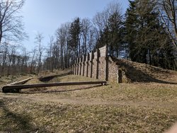 PXL_20250308_115939890.jpg