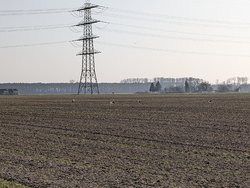 PXL_20250308_145800350.ACTION_PAN.jpg