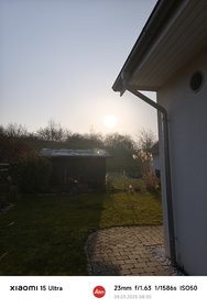 IMG_20250309_083019.jpg