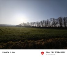IMG_20250309_084649.jpg
