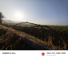 IMG_20250309_083812.jpg