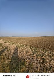 IMG_20250309_090306.jpg