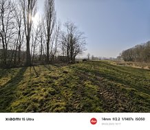 IMG_20250309_101749.jpg