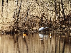 IMG_20250307_144253.jpg