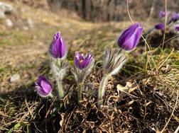 IMG_20250308_085322-Verbessert-RR.jpg