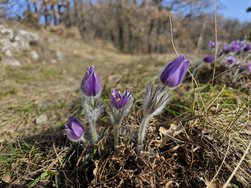 IMG_20250308_085322.jpg