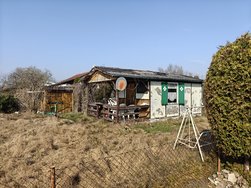 IMG20250309112418.jpg