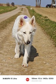 IMG_20250309_140808_1.jpg