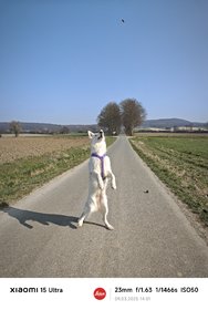 IMG_20250309_140153_4.jpg