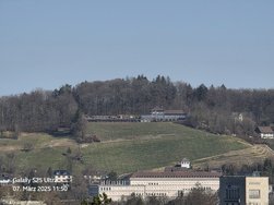 20250307_115029.jpg