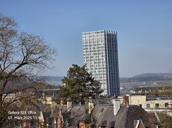 20250307_114243.jpg