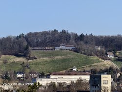 IMG_20250307_115108.jpg