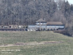 IMG_20250307_115124.jpg