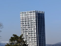 IMG_20250307_114346.jpg