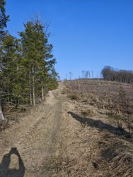 IMG_20250309_152126.jpg