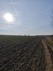 IMG_20250309_155621.jpg
