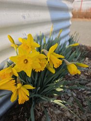 IMG_20250309_162740.jpg