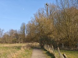 IMG_20250309_150854.jpg
