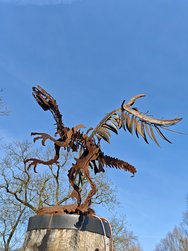 IMG_20250309_150408.jpg