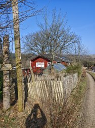 IMG_20250309_144831.jpg