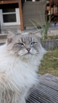 PXL_20250309_163511092.PORTRAIT.jpg