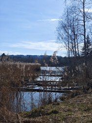 IMG_20250309_135758.jpg