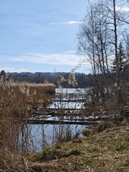IMG_20250309_135811.jpg