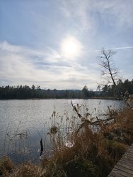 IMG_20250309_154640.jpg