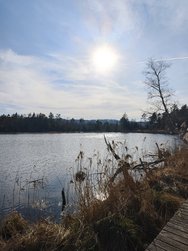 IMG_20250309_154652.jpg
