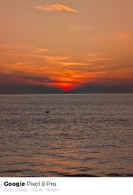 sukashi_20250309_185909.jpg