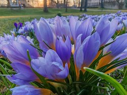 IMG_20250309_173319.jpg