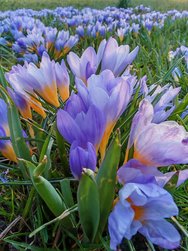 IMG_20250309_173442.jpg